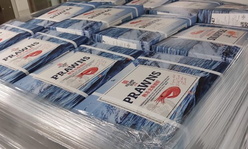 Prawns packed and ready.jpeg