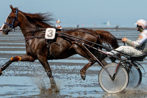 DFFU sponsored the 90th Duhner Wattrennen in Cuxhaven