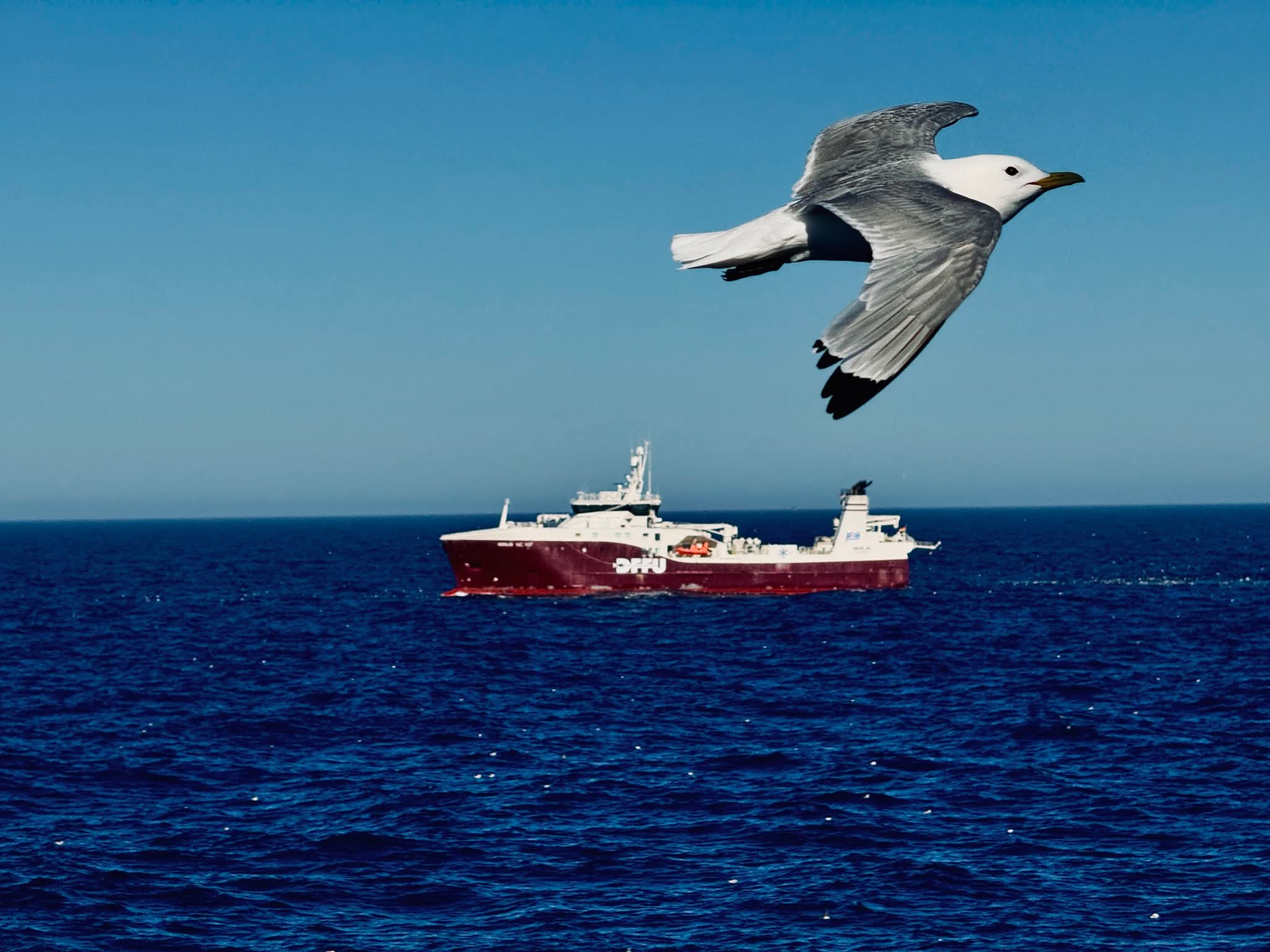 Berlin NC In The Barents Sea Photo BVG